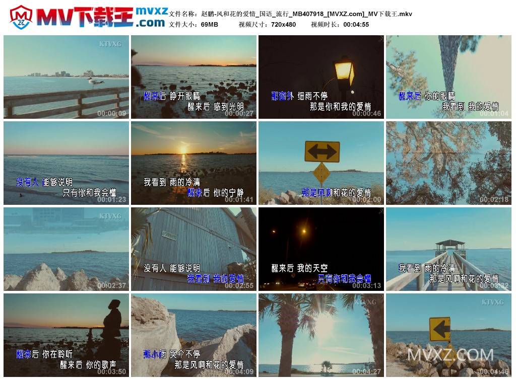 赵鹏-风和花的爱情_国语_流行_MB407918